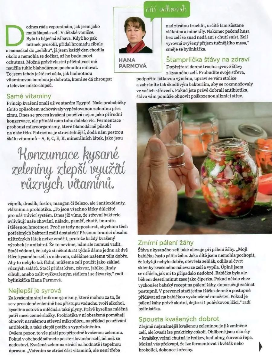 Moje zdraví 1.2021, Kvašená zelenina 2